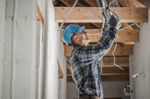 Best Affordable Electrician  in Fanning Springs, FL